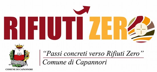 logo RZ Capannori